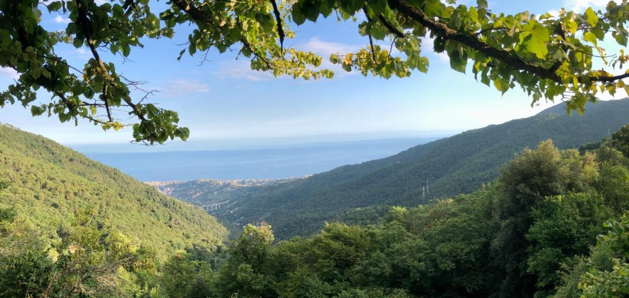 Appartamento Ai Piedi Della Pigna 圣雷默 外观 照片