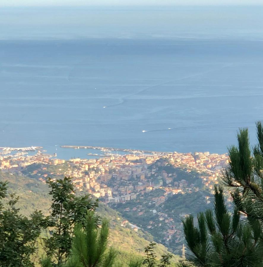Appartamento Ai Piedi Della Pigna 圣雷默 外观 照片